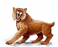 Paleogeen - Kasside teke