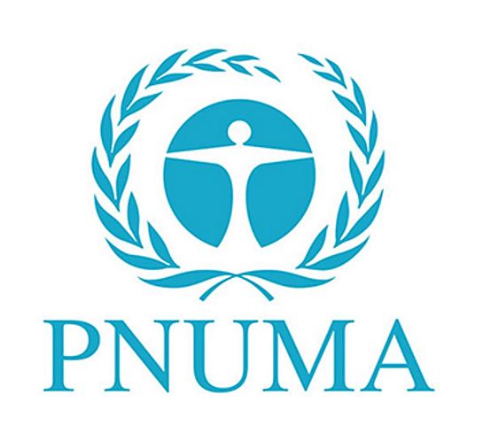 OMT: Presentó el Programa de Naciones Unidas sobre el Medio Ambiente (PNUMA)