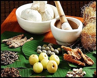 La herbolaria indígena precolombina