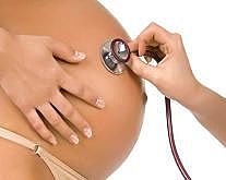 feto o estado prenatal