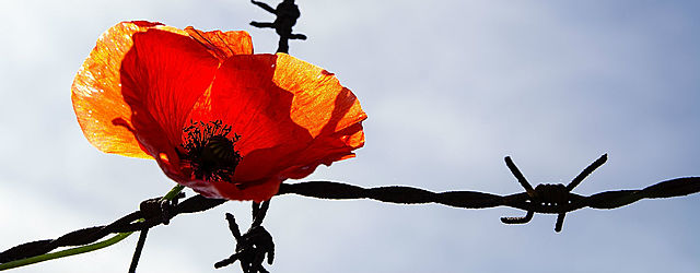 Antecedentes de los DDHH a nivel nacional