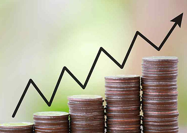 Institucionalización de la economía.