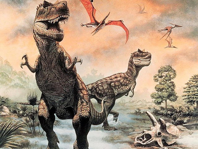 Evolución de los seres vivos