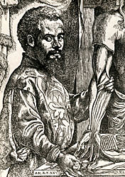 Vesalio