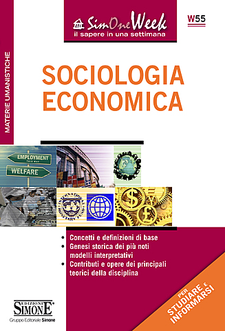 Subdisciplinas sociologicas