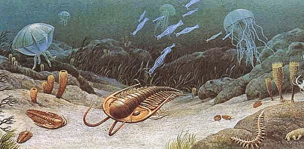 Era Paleozoica