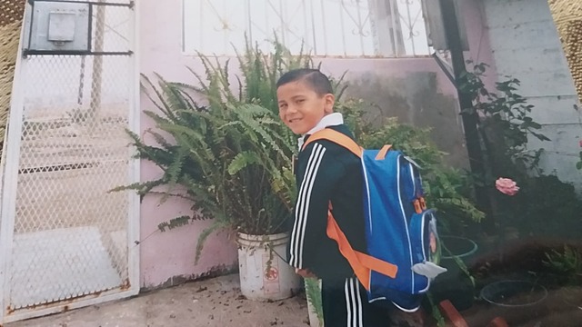 Adios Kinder primavera