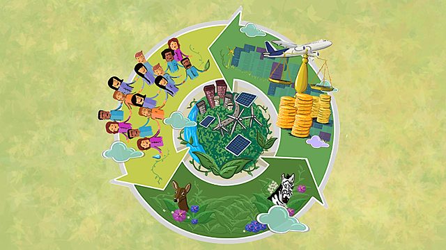 Conciencia sustentable