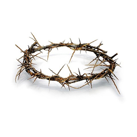 Jesus's Crown of Thorns