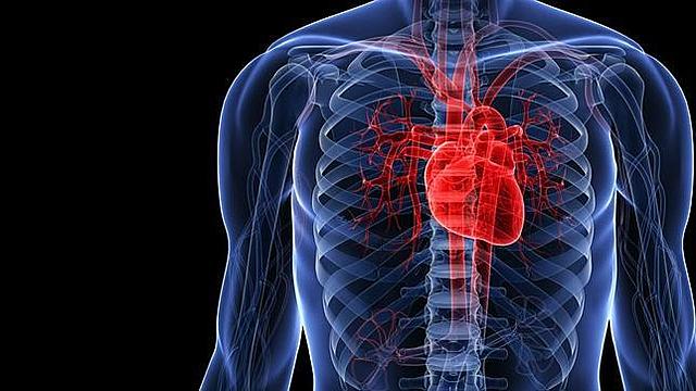 MODELO MATEMÁTICO DEL CORAZÓN