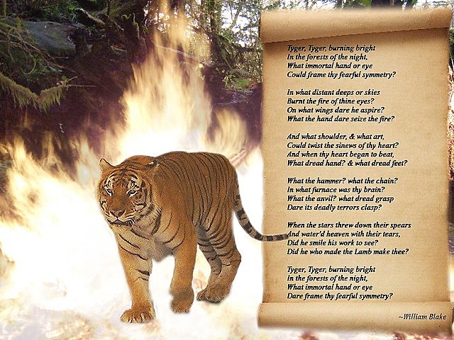 'Tyger! Tyger! burning bright'