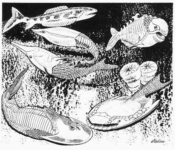 Rise of the fish--first vertebrates
