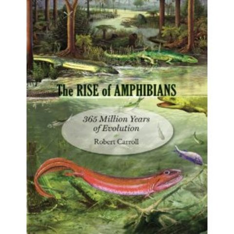 Rise of the amphibians
