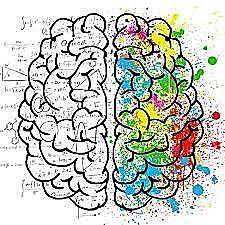 Experimento Psicosocial