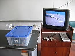 ADAPTACIÓN DE UN TELEVISOR COMO MONITOR