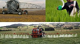 Timeline: Historia de la Revolución verde