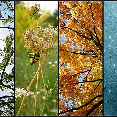 Timeline: The Four Different Seasons