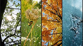 Timeline: The Four Different Seasons