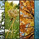 Timeline different seasons