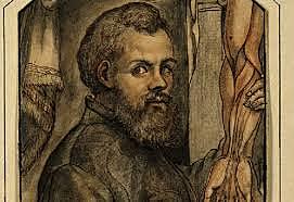 Vesalius