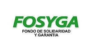 FONDO DE SOLIDARIDAD Y GARANTÍA (FOSYGA)