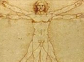 renaissance medicine