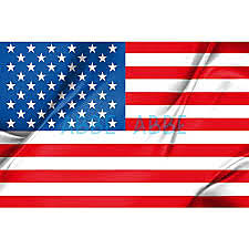 Primera Guerra Mundial (1914 -1918)  Estados Unidos (1917)