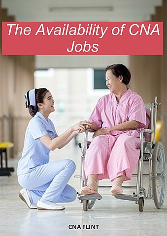 Obtain degree and apply for jobs