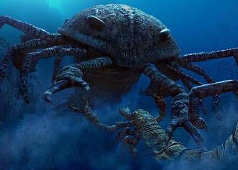 Maismaad hakkasid asustama ka loomad