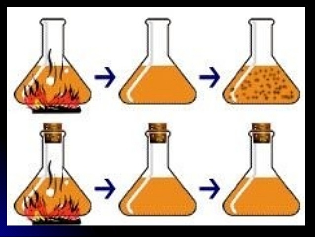 Lazzaro Spallanzani (1729 - 1799)