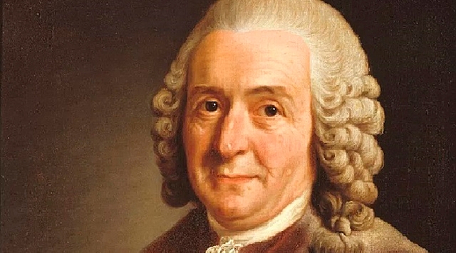 Carlos Linneo (1707-1778).