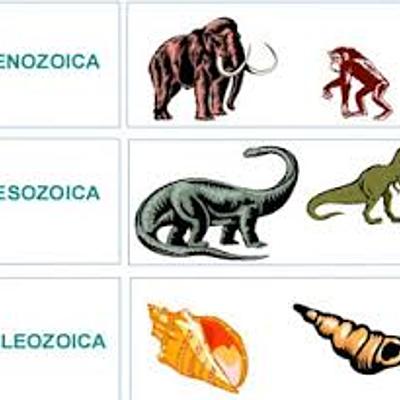 Timeline: Eras Geológicas