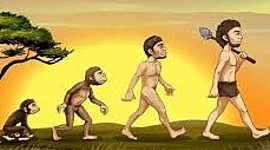 Timeline: HISTORIA DE LA SEGURIDAD Y SALUD EN EL TRABAJO