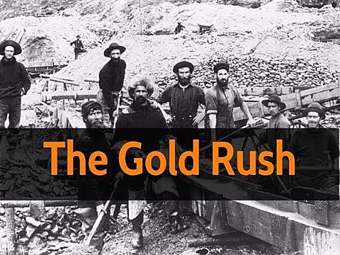 The Gold Rush