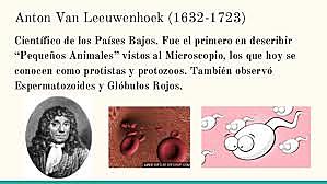 1677 Descripción de los glóbulos rojos