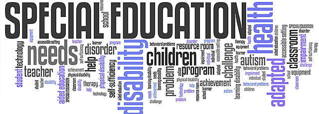 THE FUTURE OF SPECIAL EDUCATION
