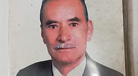 Timeline: adultez mayor