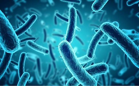 Los primeros seres vivos.