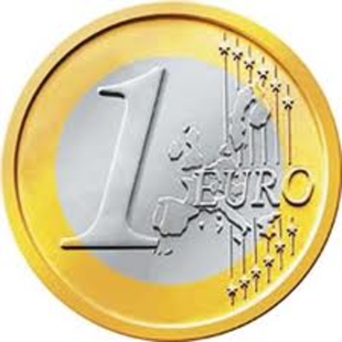 The Euro