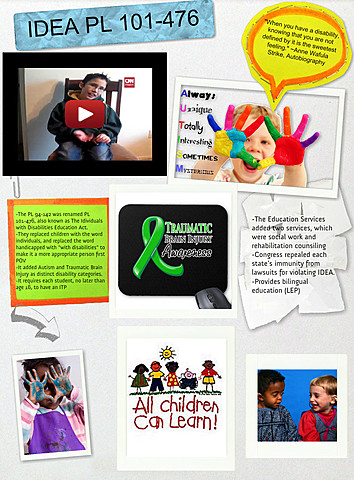 IDEA Reauthorization (PL 101-476)
