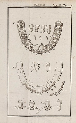 EDAD MEDIA   Siglo V - XVIII