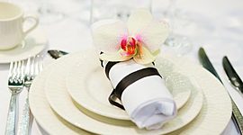 Timeline: Historia y tipos de protocolos