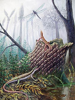 Segundo reptil antiguo. El Hylonomus.