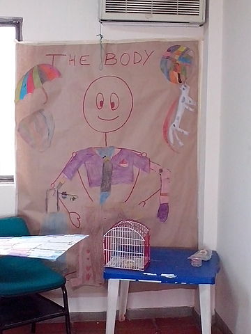 L a educacion para los Derechos Humanos la democracia y la paz