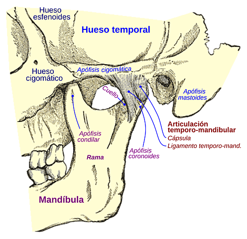 ÉPOCA ACTUAL   DÉCADA DE LO 70´S