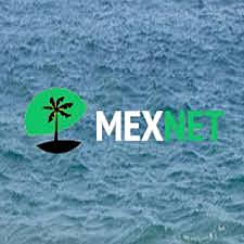 Se forma Mexnet asociacion que reune a todas las instituciones mexicanas con acceso a la red