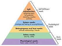 hierarchy of needs