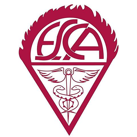 Carrera de contador de comercio