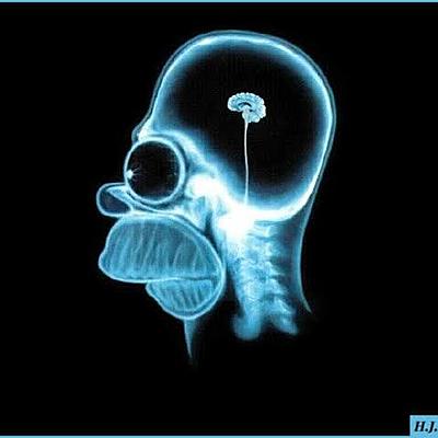 Timeline: Logica   (Zamora Alba Ana Belén, Cortés Figueroa Sofia, Sánchez Acosta Naomi, Díaz Pérez Valeria, Pérez Correa Eduardo) 470