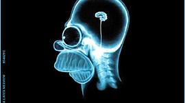 Timeline: Logica   (Zamora Alba Ana Belén, Cortés Figueroa Sofia, Sánchez Acosta Naomi, Díaz Pérez Valeria, Pérez Correa Eduardo) 470